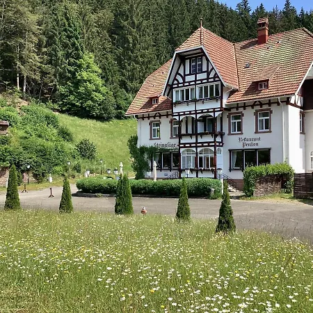 Steinasaege Vendégház 3*