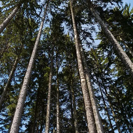 Vendégház Steinasaege 3*