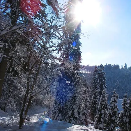 Steinasaege Bonndorf im Schwarzwald