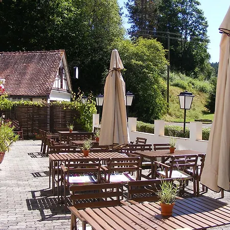 Steinasäge Gasthof 3*