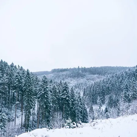 Steinasaege Vendégház Bonndorf im Schwarzwald
