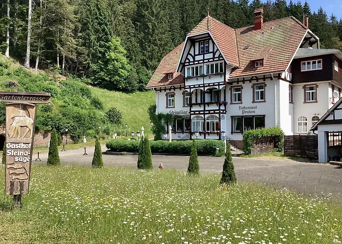 Steinasäge Pensionat 3*