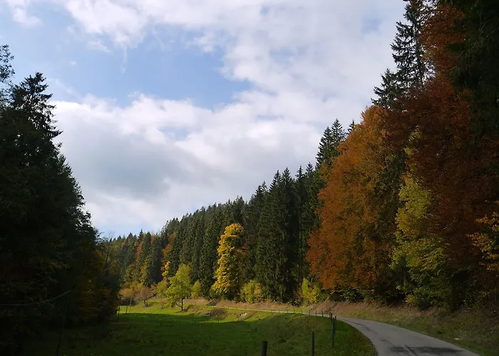 Steinasäge Pensionat 3*