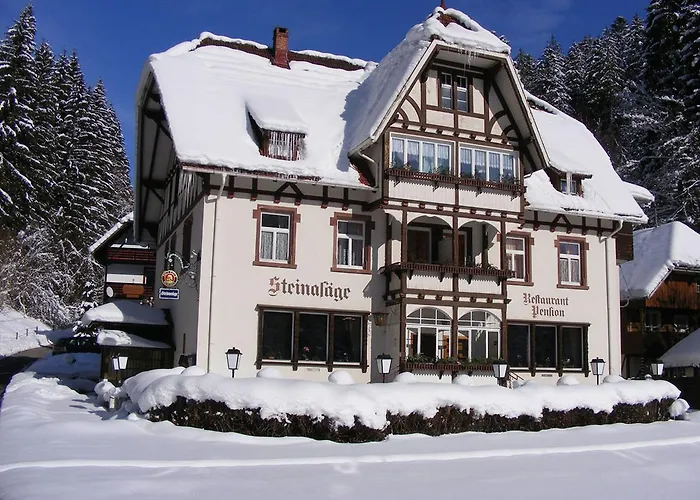 Pensionat Steinasäge