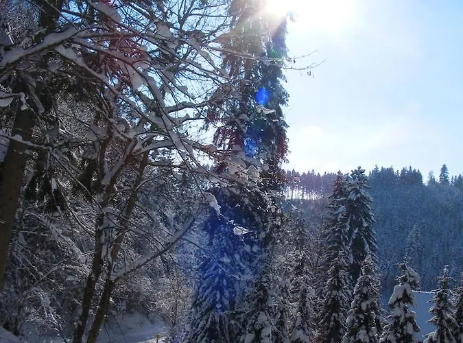 Steinasäge Bonndorf im Schwarzwald