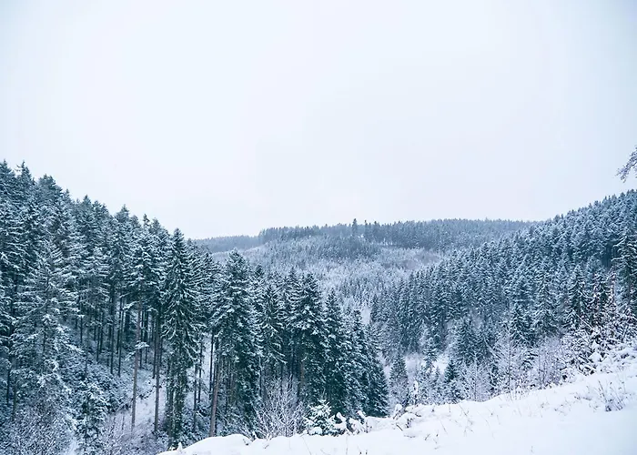Steinasäge Pensionat Bonndorf im Schwarzwald